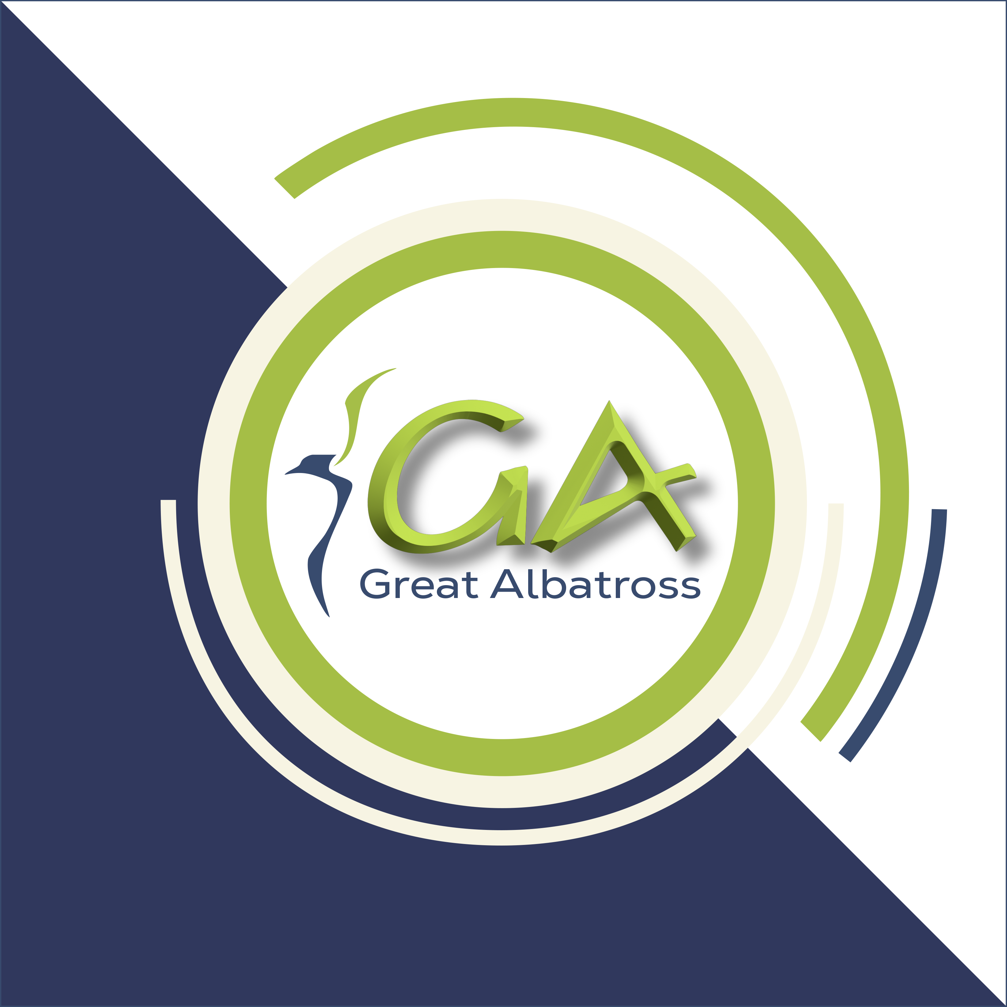 Great Albatross